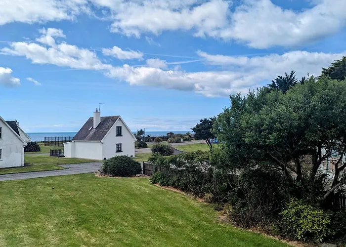 Sunny * ウェックスフォード